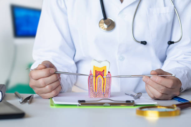 Best Urgent Dental Care for Toothache in Elkader, IA